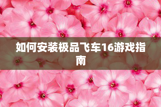 如何安装极品飞车16游戏指南 如何安装极品飞车16游戏指南