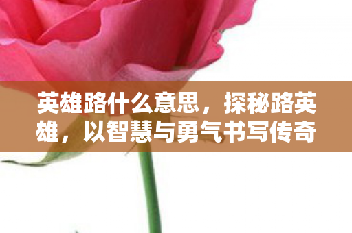 英雄路什么意思，探秘路英雄，以智慧与勇气书写传奇