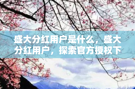 盛大分红用户是什么，盛大分红用户，探索官方授权下的财富增值之路
