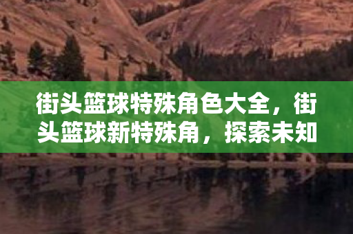 街头篮球特殊角色大全，街头篮球新特殊角，探索未知，挑战极限