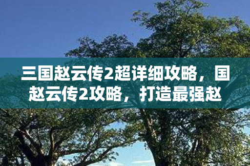 三国赵云传2超详细攻略，国赵云传2攻略，打造最强赵云，征战四方！