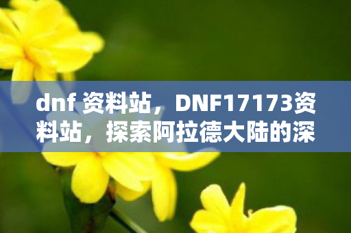 dnf 资料站，DNF17173资料站，探索阿拉德大陆的深度指南
