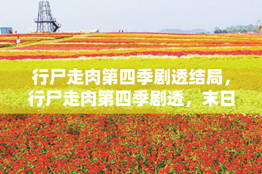 行尸走肉第四季剧透结局，行尸走肉第四季剧透，末日下的生存挑战与人性探索