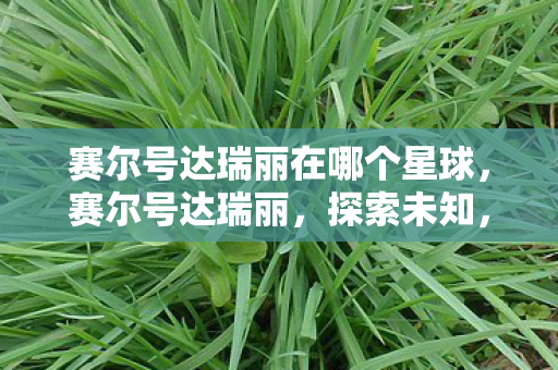 赛尔号达瑞丽在哪个星球，赛尔号达瑞丽，探索未知，挑战极限