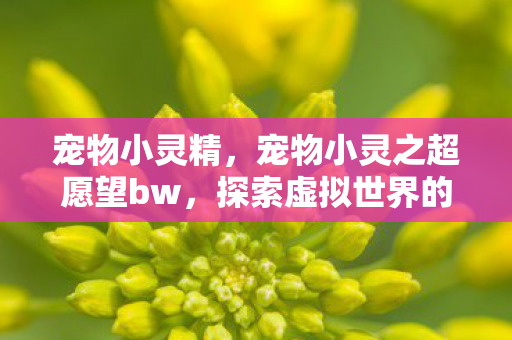 宠物小灵精，宠物小灵之超愿望bw，探索虚拟世界的奇妙之旅