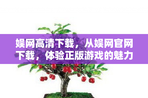 娱网高清下载，从娱网官网下载，体验正版游戏的魅力