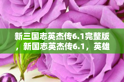 新三国志英杰传6.1完整版，新国志英杰传6.1，英雄辈出，谱写传奇新篇章