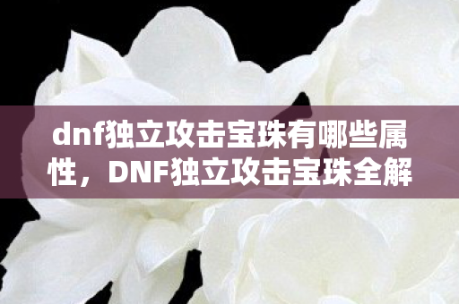 dnf独立攻击宝珠有哪些属性，DNF独立攻击宝珠全解析，提升战斗力的必备神器