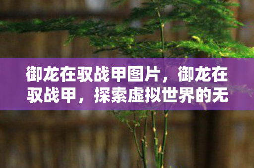 御龙在驭战甲图片，御龙在驭战甲，探索虚拟世界的无限可能