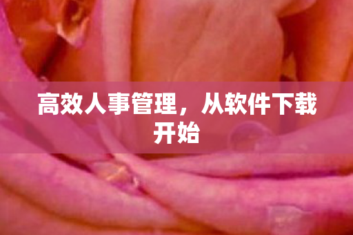 高效人事管理，从软件下载开始