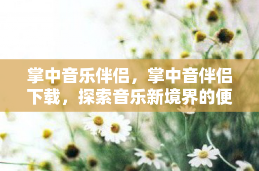 掌中音乐伴侣，掌中音伴侣下载，探索音乐新境界的便捷工具