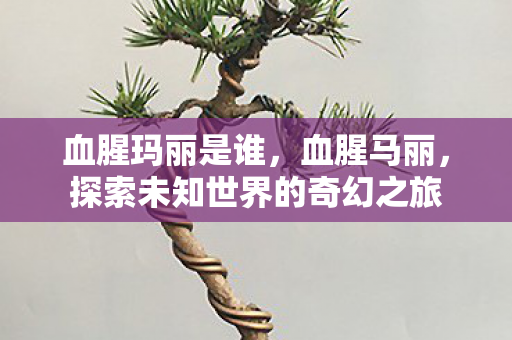 血腥玛丽是谁，血腥马丽，探索未知世界的奇幻之旅