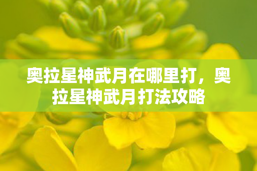 奥拉星神武月在哪里打，奥拉星神武月打法攻略