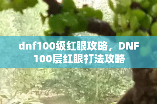 dnf100级红眼攻略，DNF100层红眼打法攻略