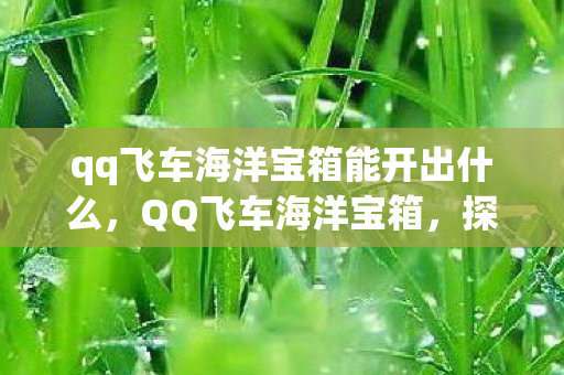 qq飞车海洋宝箱能开出什么，QQ飞车海洋宝箱，探索未知海域的奇幻之旅