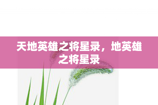 天地英雄之将星录,地英雄之将星录 天地英雄之将星录,地英雄之将星录