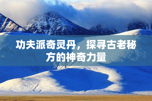 功夫派奇灵丹，探寻古老秘方的神奇力量