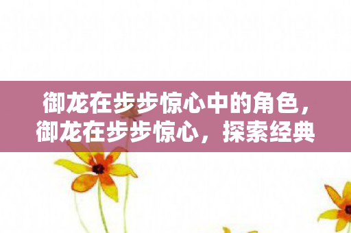 御龙在步步惊心中的角色，御龙在步步惊心，探索经典游戏的魅力与变迁