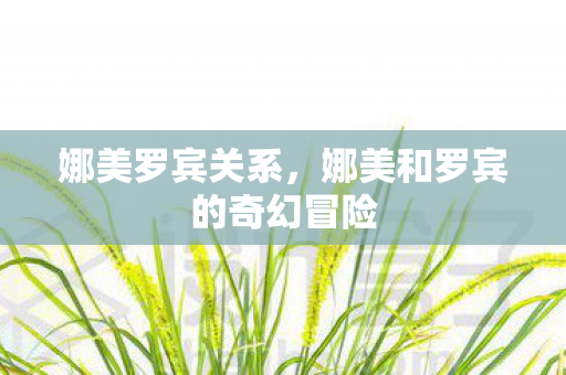 娜美罗宾关系，娜美和罗宾的奇幻冒险