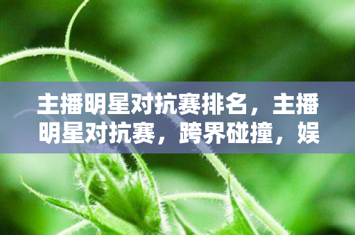 主播明星对抗赛排名,主播明星对抗赛,跨界碰撞,娱乐新风尚 主播明星对抗赛排名,主播明星对抗赛,跨界碰撞,娱乐新风尚