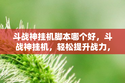 斗战神挂机脚本哪个好，斗战神挂机，轻松提升战力，享受游戏乐趣