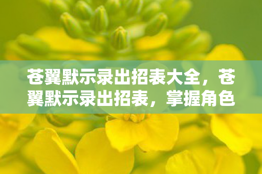 苍翼默示录出招表大全，苍翼默示录出招表，掌握角色技能，畅享战斗快感