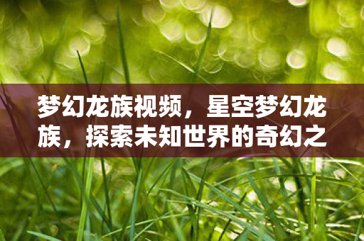 梦幻龙族视频，星空梦幻龙族，探索未知世界的奇幻之旅