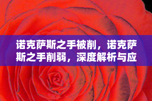 诺克萨斯之手被削，诺克萨斯之手削弱，深度解析与应对策略