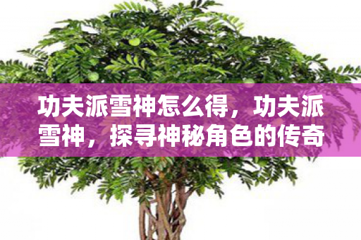 功夫派雪神怎么得，功夫派雪神，探寻神秘角色的传奇故事