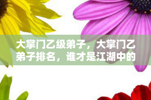 大掌门乙级弟子，大掌门乙弟子排名，谁才是江湖中的真正高手？