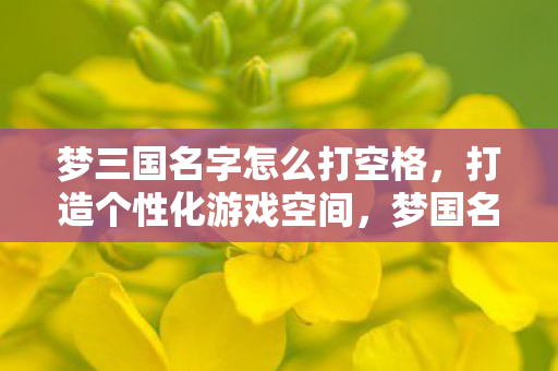 梦三国名字怎么打空格，打造个性化游戏空间，梦国名字空格的艺术