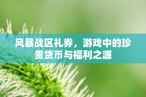 风暴战区礼券,游戏中的珍贵货币与福利之源 风暴战区礼券,游戏中的珍贵货币与福利之源