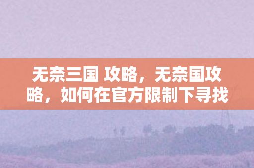 无奈三国 攻略，无奈国攻略，如何在官方限制下寻找游戏乐趣