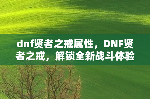 dnf贤者之戒属性，DNF贤者之戒，解锁全新战斗体验