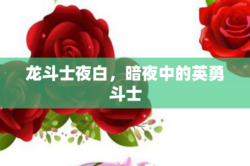 龙斗士夜白，暗夜中的英勇斗士