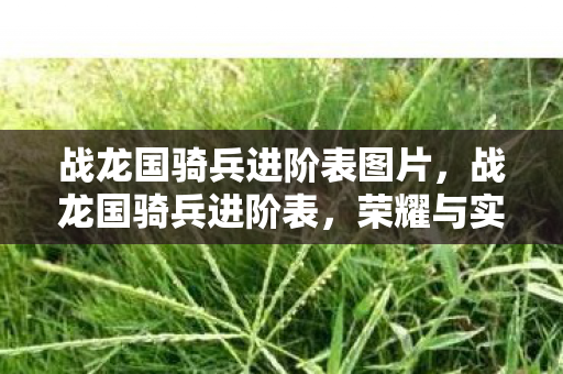战龙国骑兵进阶表图片，战龙国骑兵进阶表，荣耀与实力的象征