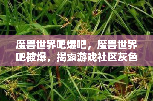 魔兽世界吧爆吧，魔兽世界吧被爆，揭露游戏社区灰色地带