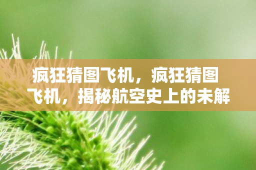 疯狂猜图飞机，疯狂猜图 飞机，揭秘航空史上的未解之谜