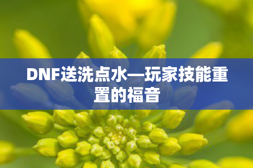 DNF送洗点水—玩家技能重置的福音