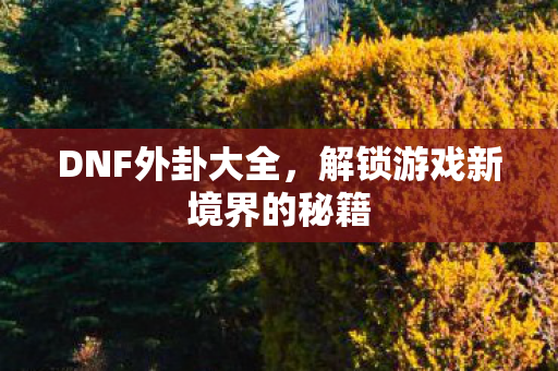 DNF外卦大全，解锁游戏新境界的秘籍