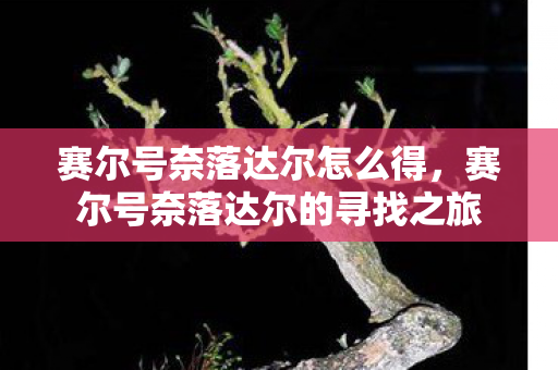 赛尔号奈落达尔怎么得，赛尔号奈落达尔的寻找之旅