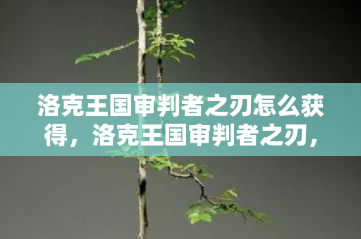 洛克王国审判者之刃怎么获得，洛克王国审判者之刃，解锁王国力量的神秘钥匙