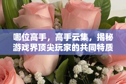 哪位高手,高手云集,揭秘游戏界顶尖玩家的共同特质 哪位高手,高手云集,揭秘游戏界顶尖玩家的共同特质