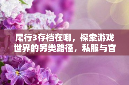 尾行3存档在哪，探索游戏世界的另类路径，私服与官方服务器的独特体验对比
