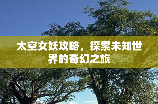 太空女妖攻略，探索未知世界的奇幻之旅