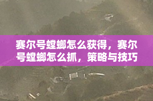赛尔号螳螂怎么获得，赛尔号螳螂怎么抓，策略与技巧详解