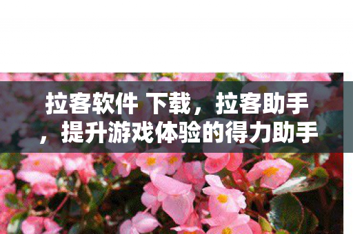 拉客软件 下载，拉客助手，提升游戏体验的得力助手