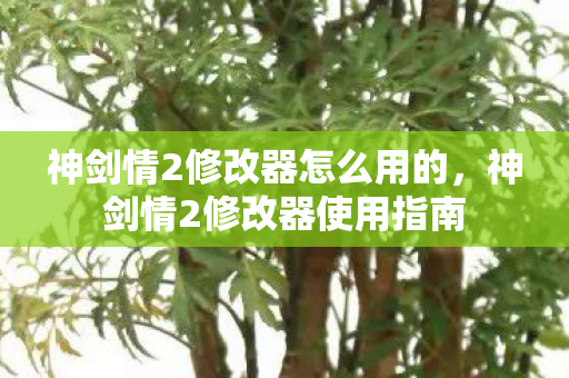 神剑情2修改器怎么用的，神剑情2修改器使用指南