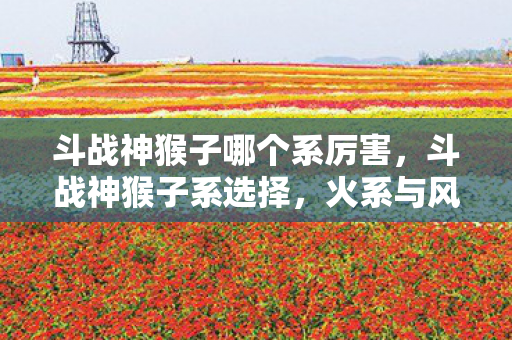 斗战神猴子哪个系厉害，斗战神猴子系选择，火系与风系的优劣分析