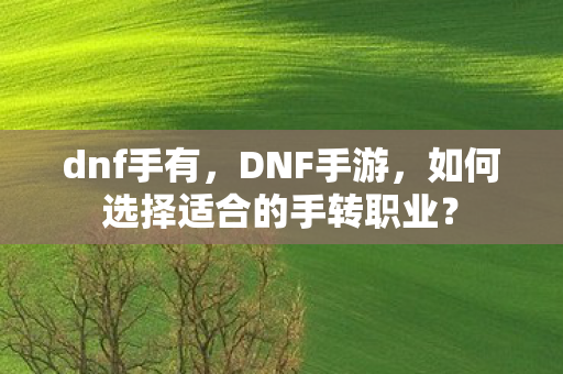 dnf手有，DNF手游，如何选择适合的手转职业？